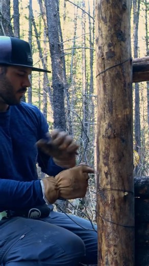 74K views · 799 reactions | Building a Bushcraft Log Cabin in a Snowy Forest_ Epic Survival Skills! #survival #cabinbuilding #fblifestyle | Nature Daddy | Facebook
