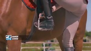 1.3K reactions · 139 shares | [A partir de 22h] Soirée studieuse sur Equidia Life ! Révisez vos galops 1 à 4 avec Objectif Galop, l’occasion de voir ou revoir tout ce qu’il faut savoir :) | Equidia | Facebook