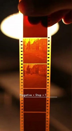 How an Analog Camera Works #science