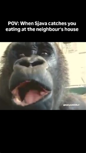 KACyle WORLD on Instagram: "Udlelani emzin' yabantu? #Sjava #Gusheshe #kacyleworld"