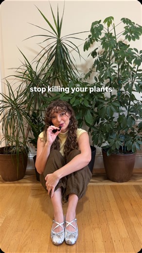 Bergen Flom on Instagram: "It’s 2026 and killing your plants is NOT cute. Send yours to the doctor like I do with the @planta_app.🌿 Go check out the new year limited offer of 30% off Planta Premium.🤎 #plantcare #plantcaretips #planta #planttok #houseplants"