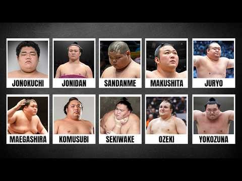 Every Sumo Rank Explained — The Full System From Rookie to Yokozuna