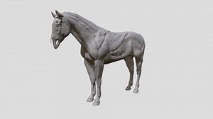Muscular Horse Anatomy Sculpt - 3D model by Zenosart (@Zeno3D)
