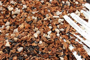 Choosing the Right Potting Mix