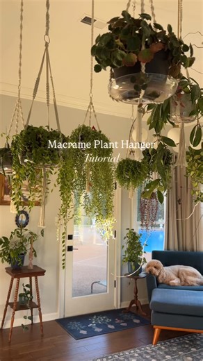 Jenn | DIY Home Renovation | Part 1 Macrame Hanger Tutorial #diy #designinspo #plants #plantsmakepeoplehappy #plantaesthetic | Instagram