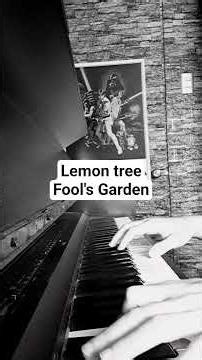 Lemon tree - Fool's Garden (Piano Cover) @FoolsGardenOfficial #lemontree #foolsgarden #Piano #90