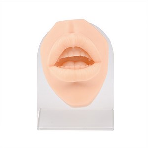 [Hot Item] Silicone Simulation Human Mouth Lip Piercing Model with Stand