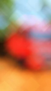 Truck driver training | Prime Movers lovers