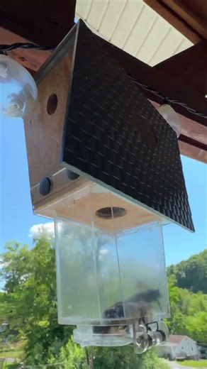 Ultimate Pro Carpenter Bee Trap #CarpenterBeeTrap #BeeTrap #OutdoorPestControl #BackyardSolutions