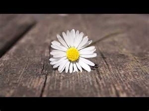 Alexa Feser - Glück