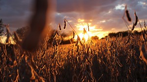 Local photography show featuring student work goes digital