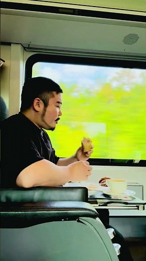 欧州鉄道の旅 #旅行 #電車 #ウィーン #オーストリア