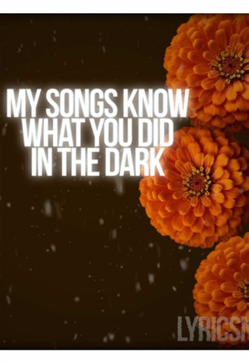 MY SONGS KNOW WHAT YOU DID IN THE DARK . #lyrics #music #songs #falloutboy lyrics song music