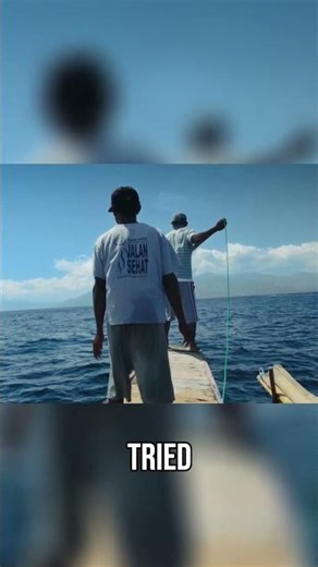 Local Government Refuses Whale Removal Operation