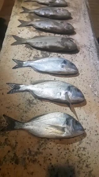 #parati #surfcasting #pesca #peponas #surfcastingpaterna2021 primer Pesqueron del 2023