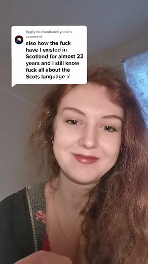 Understanding the Scots Language After 22 Years