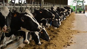 Les 10 points clés pour réussir sa ration