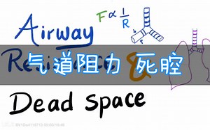 【搬运 中英字幕】气道阻力和死腔  Airway Resistance & Dead Space _ Respiratory Physiology