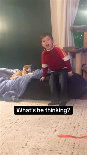 #fyp #catlover #babysitter #silly #orangecatbehavior