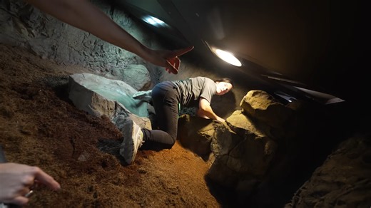 They Didn't Think it Was Possible to Lose a 19 Foot Python - They Were Wrong