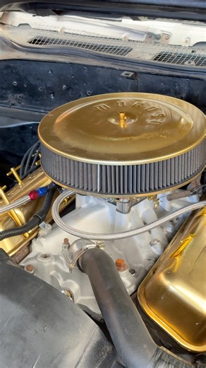 273K views · 4.8K reactions | It’s a golden torque monster  #gto | Bad Chad | Facebook