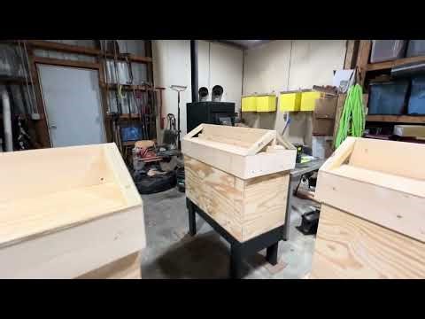 The Beginnings of the Apiary