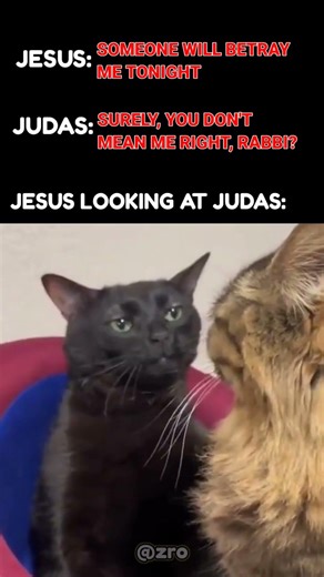 Jesus to Judas be like #christianmeme #funnychristianvideos