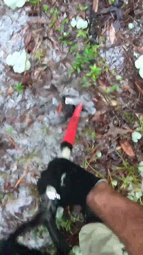 4K views · 15 reactions | mining diamond at the Beach #gold #fyp #satisfying #gems #silver #mining #diamond #coins #metaldetecting | Kati Polly | Facebook