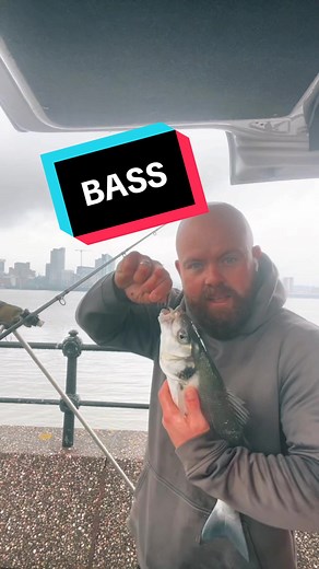 European Sea Bass Fishing: Hook, Line, and Sinker | Fishtok