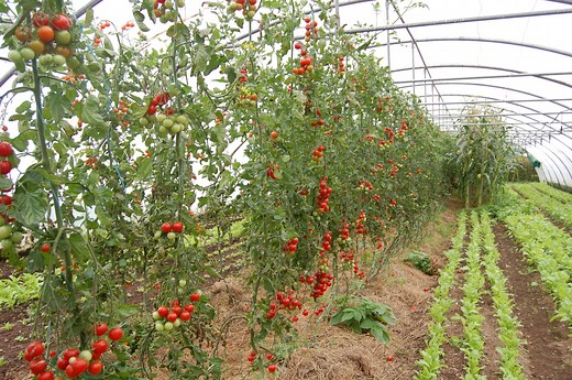 Jim Cronin - Farming for Nature