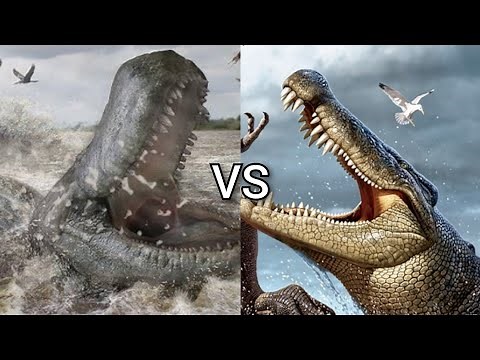 Purussaurus vs Deinosuchus
