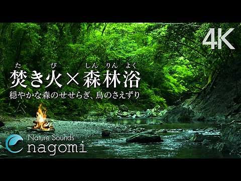 Campfire by the River - Soothing Nature Sounds for sleeping, Relax, Insomnia