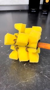 Create your own sponge on a brush at home!🧽 | Lessons Learned In Life