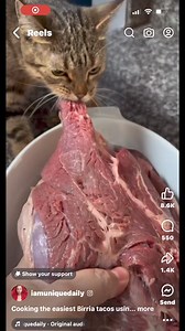 Funny Albert on Reels