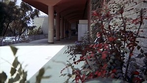 Count Yorga Vampire