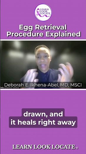 What Really Happens During an Egg Retrieval Procedure