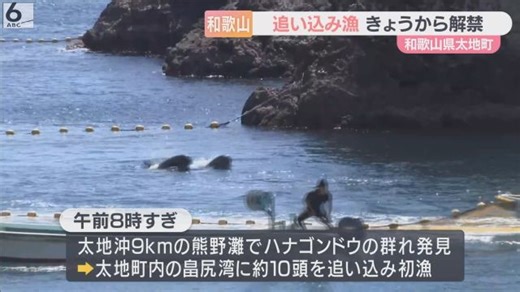 和歌山・太地町でクジラ・イルカの追い込み漁が解禁　動物愛護団体が抗議活動も…大きな混乱なし