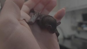 39K views · 1.8K reactions | We have a new little addition... One...