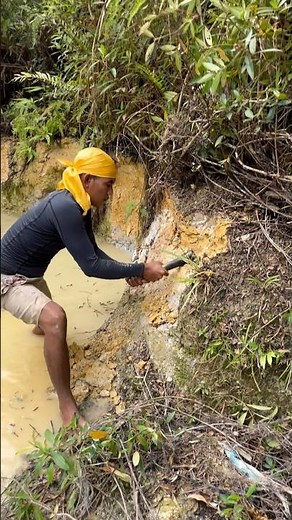 The process of finding gold | finding gold in bedrock fragments | gold rush | gold Quartz