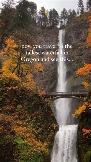 Can Oregon get any more whimsical? 🍂🍁Peak fall colors at Multnomah Falls make for an unforgettable sight. Where have you experienced fall foliage wonder this season? 📸: @thetravelingdans #traveloregon #multnomahfalls #falltime | Travel Oregon