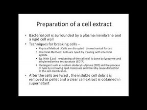 Purification of DNA from Living Cells Tutorial- For Gene Cloning Experiment