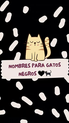 Nombres para tu gatito negro