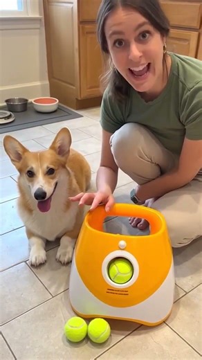 Let the Launcher Handle Fetch — Hands-Free Playtime