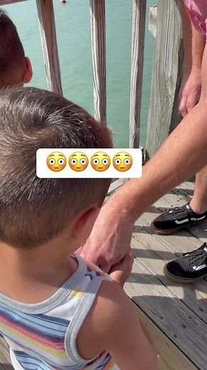 267K views · 3.3K reactions | #twins #reels #foryou #foryoupage | Riegel Twins | Facebook