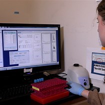 Video: Rapid Development of Cell State Identification Circuits with Poly-Transfection