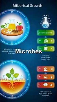 ⚠️ Microbes Multiply FAST! ⏱️ Every 20 Minutes! | Food Safety Facts 🍽️🦠