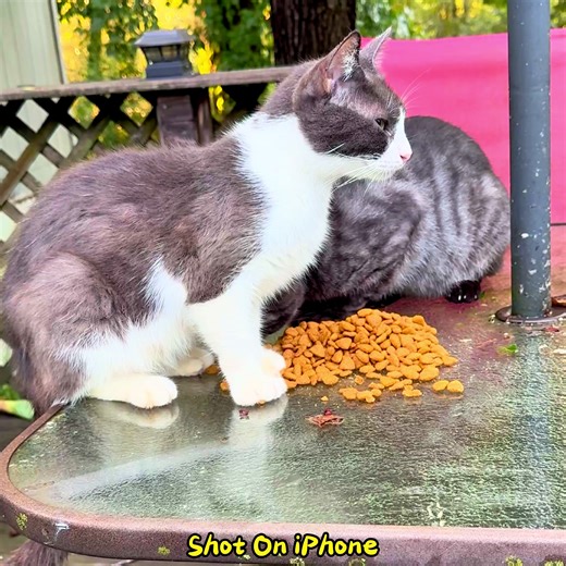 quicktimekirk on TikTok