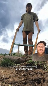 My non-profit (Community Canopy Project) recently teamed up with Green Woods Charter School to plant a native wildflower meadow / garden on their campus! Over 200 kindergarteners, first graders, and second graders, aided by many great parent volunteers and school staff, planted over 400 native plants here! We will work with the school to help establish this meadow over the next year. I'll be sure to keep you all updated about this garden! #nativeplants #wildflowers #gardening #school #garden #ph