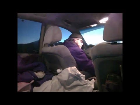 Terry Davis - Dancing In The Driver's Seat