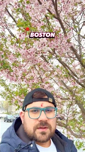 Spring in Boston Stunning Close‑Up Flower Views #boston #springvibes #naturebeauty